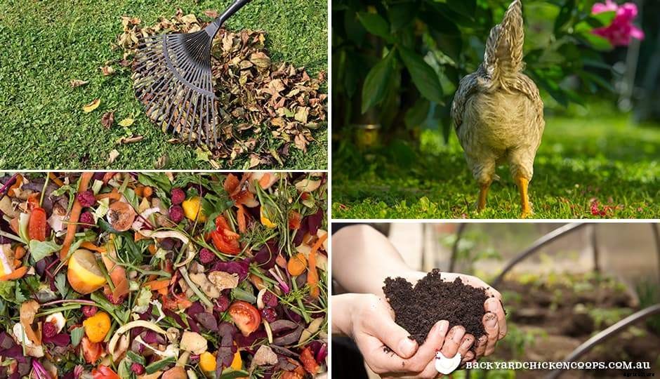 Can I Use Chicken Manure As Fertilizer In My Garden?