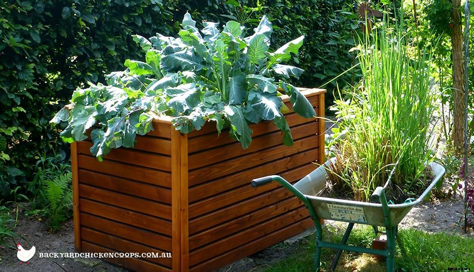 The Benefits of Raised Garden Beds