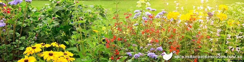 What Is Organic Gardening, And How Can I Do It?