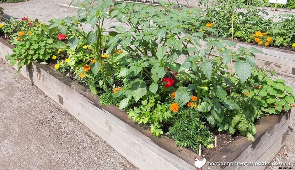 How Do I Make Raised Garden Beds?