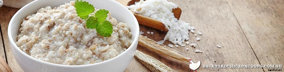 Top 5 Treats for Chickens