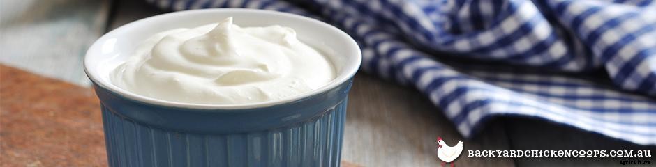 Top 5 Treats for Chickens