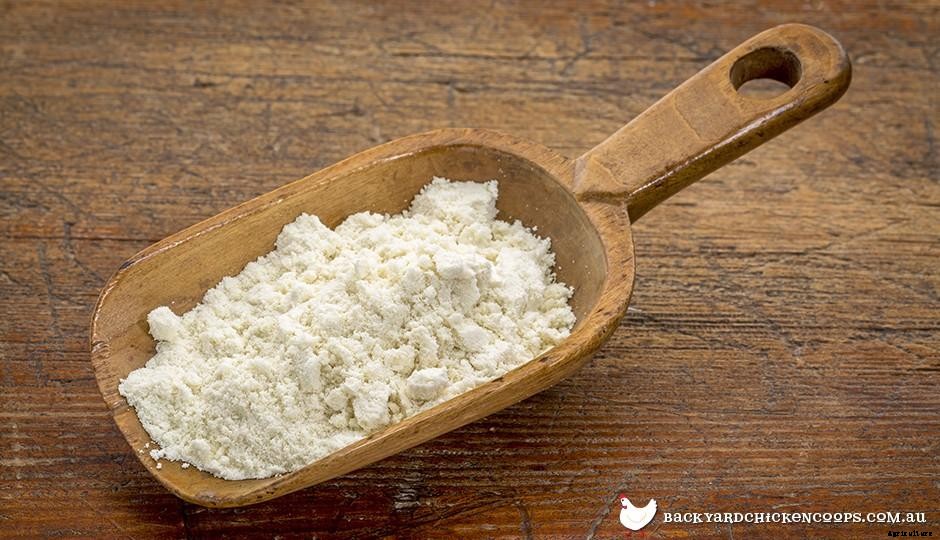 The Wonders of Diatomaceous Earth