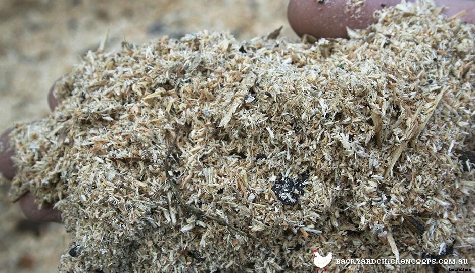 An Easy Guide To Different Types Of Animal Bedding