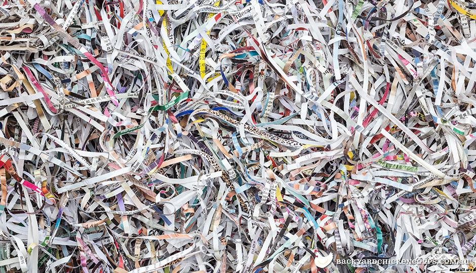 An Easy Guide To Different Types Of Animal Bedding