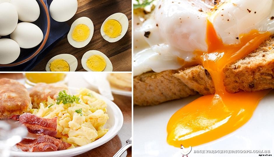 Get More Eggs From Your Laying Hens