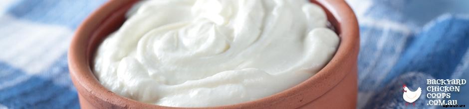 6 EGG-cellent Ways to Boost Your Chooks’ Immune System