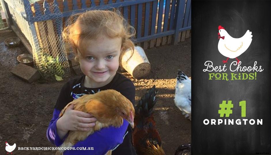 Top 5 Best Chooks for Kids