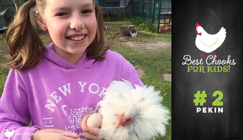 Top 5 Best Chooks for Kids