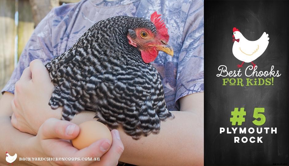 Top 5 Best Chooks for Kids
