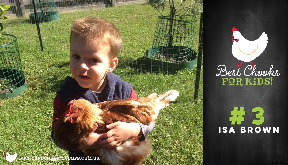 Top 5 Best Chooks for Kids