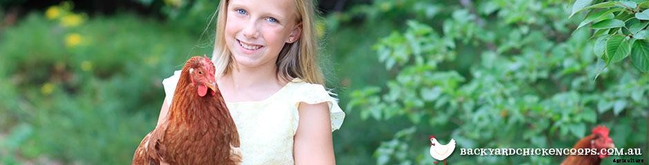 The Best Chicken Breeds for Families