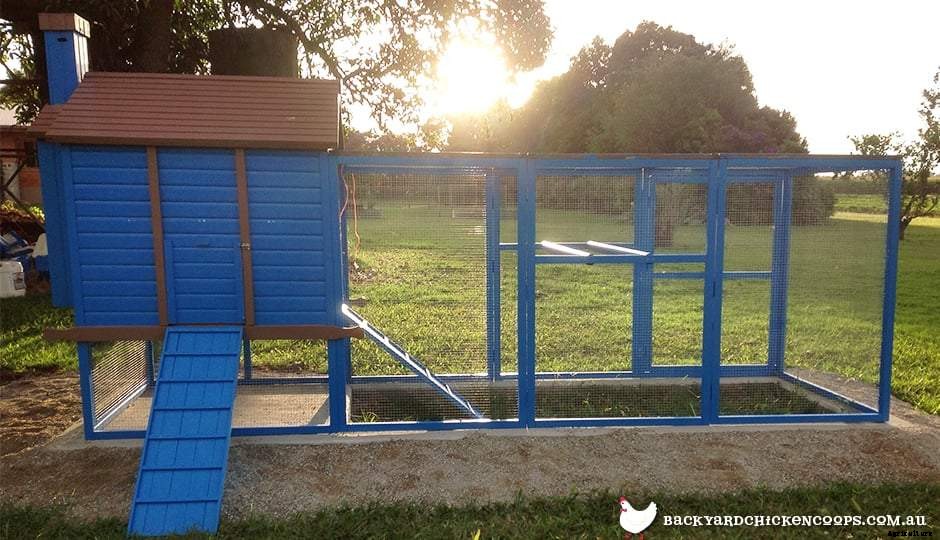 How To Pick The Perfect Chicken Coop Spot