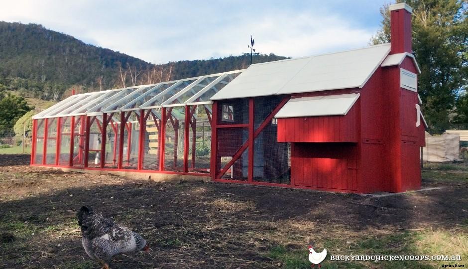 Where In My Backyard Should I Put My Chicken Coop?