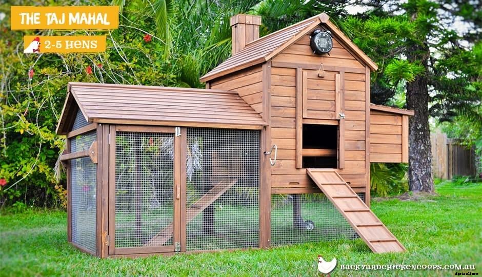 Chickens 101: The Coop