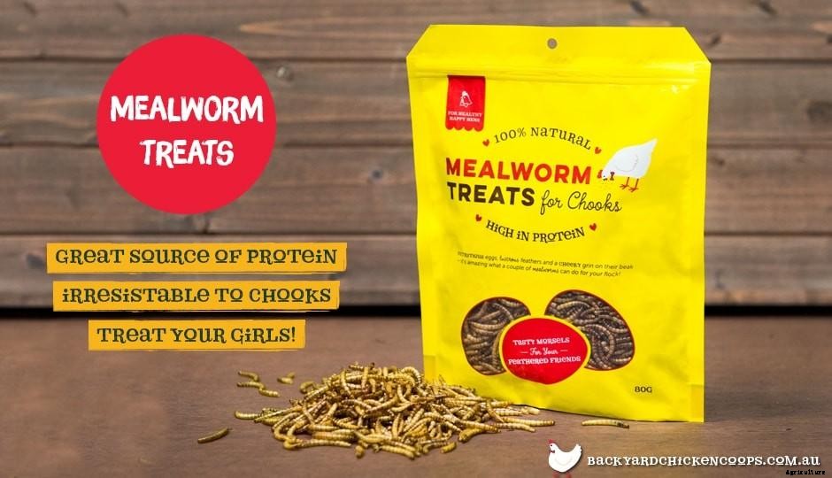 7 Reasons Why You Should Feed Your Chickens Mealworms