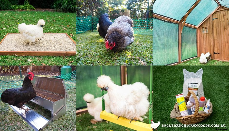 6 Essential Accessories For Your Backyard Chicken Coop