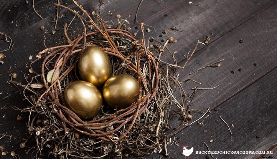 Celebrating World Egg Day