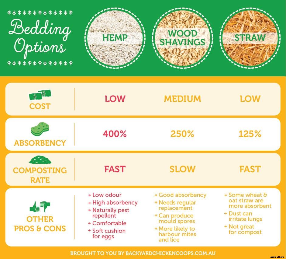 An Animal Lovers Guide To Hemp Bedding