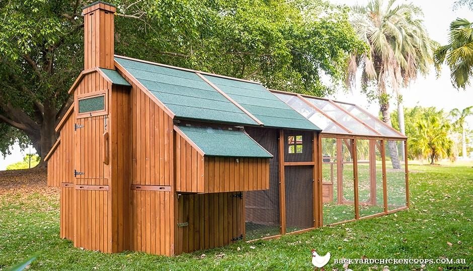 Youve Got The Chickens And The Chicken Coop - Whats Next?