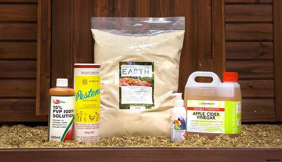 Youve Got The Chickens And The Chicken Coop - Whats Next?