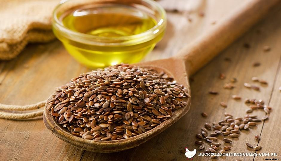 How Can I Make My Own Whole Grain Chicken Feed?