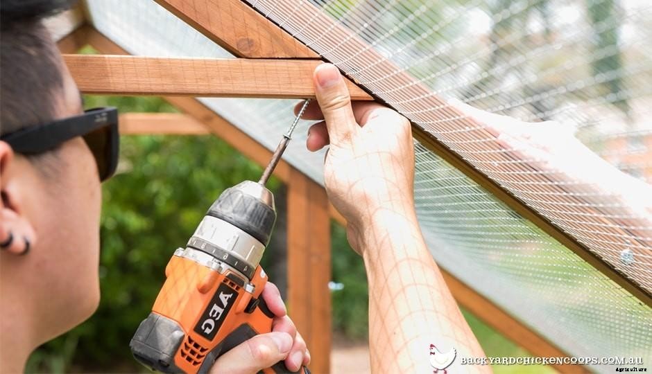 Why Were The Best Chicken Coops in Brisbane