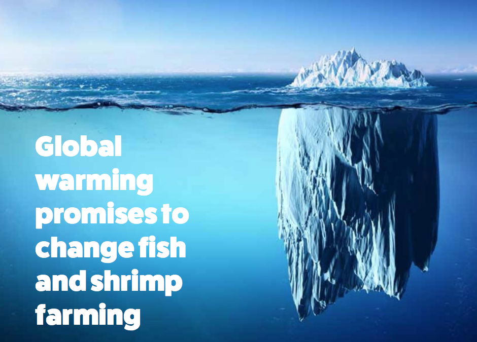 Global warming promises to change fish and shrimp farming