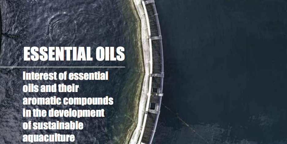 Interest of essential oils and their aromatic compounds in the development of sustainable aquaculture