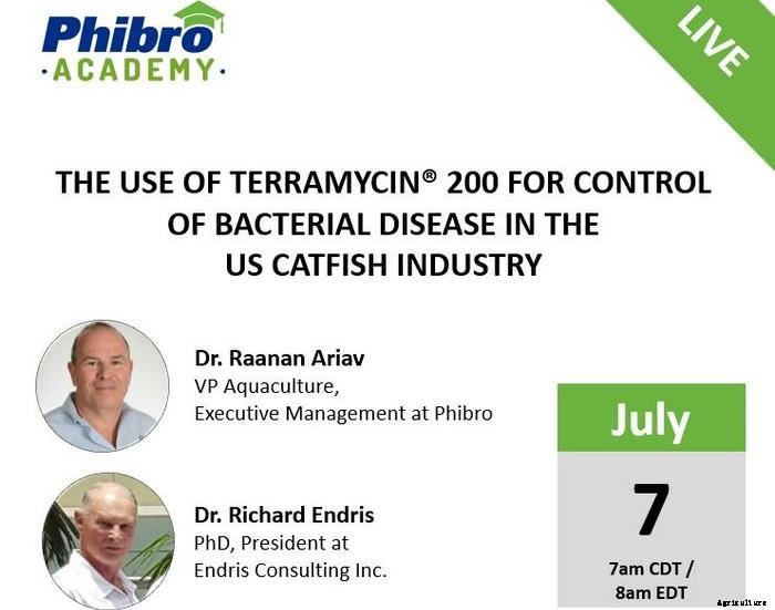 Phibro Webinar: Quillaja saponaria extract (Paq-Xtract) in the Control of Intracellular Bacteria in Salmon Fish: The case of SRS