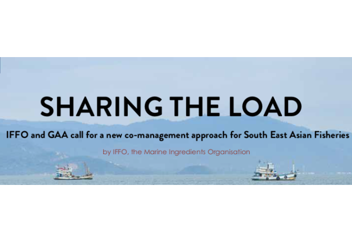 IFFO and GAA call for a new co-management approach for South East Asian fisheries