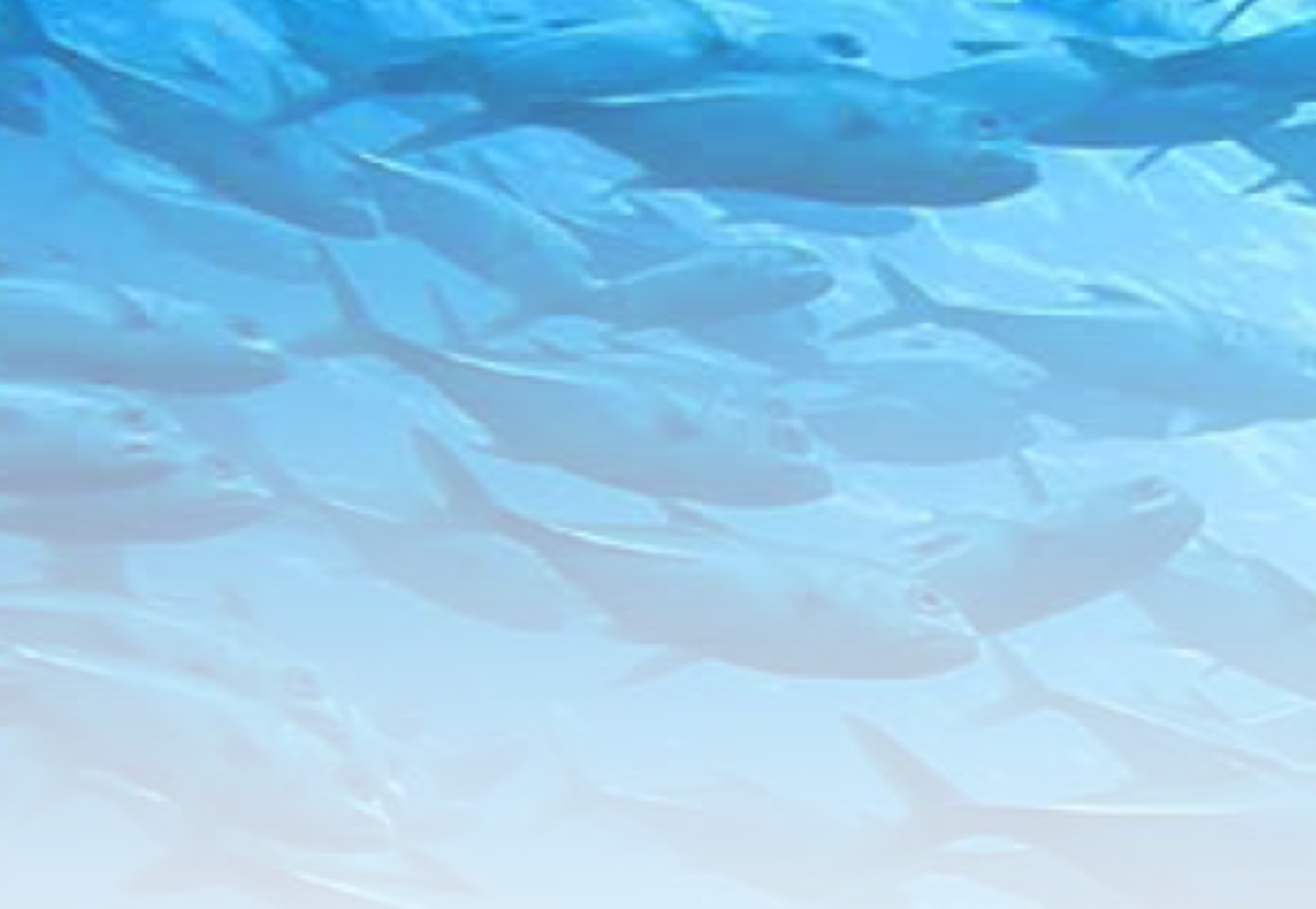 Pathogens in aquaculture