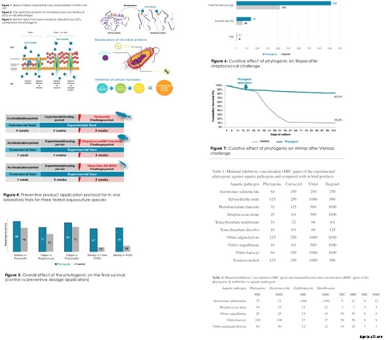 Pathogens in aquaculture