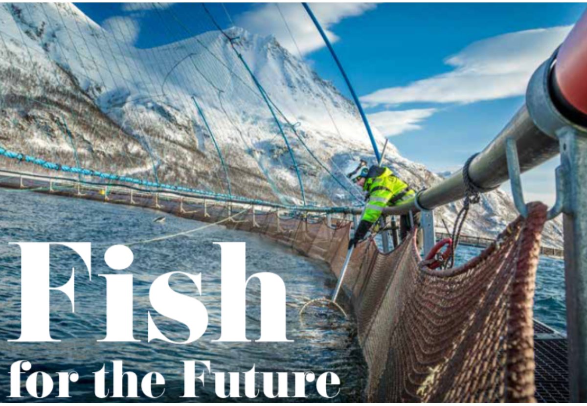 Fish for the Future