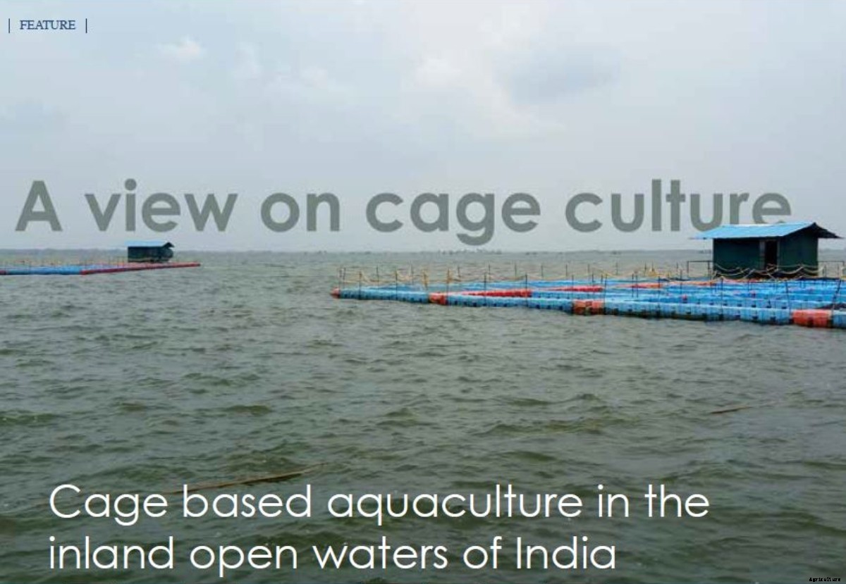 A view on cage culture