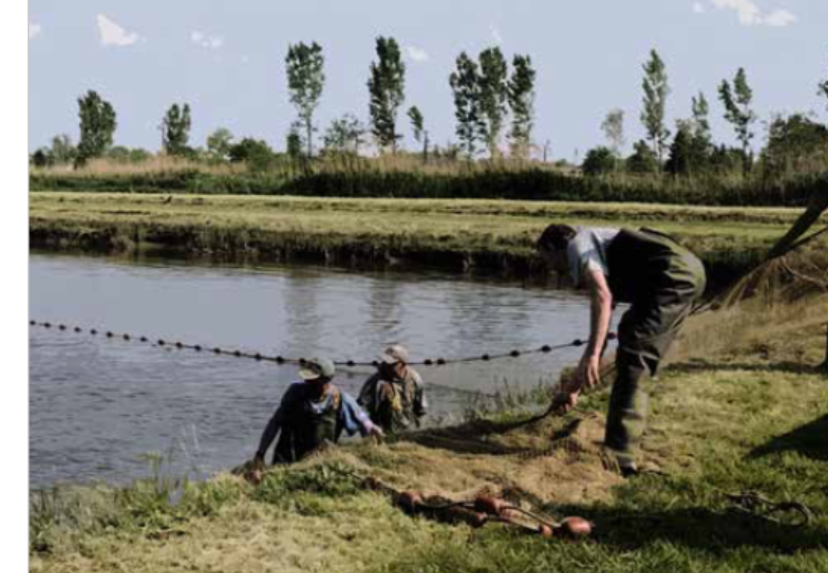 Climefish- Effects of climate change upon aquaculture