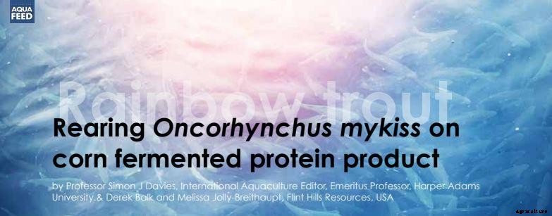 Rainbow trout Rearing Oncorhynchus mykiss on corn fermented protein product