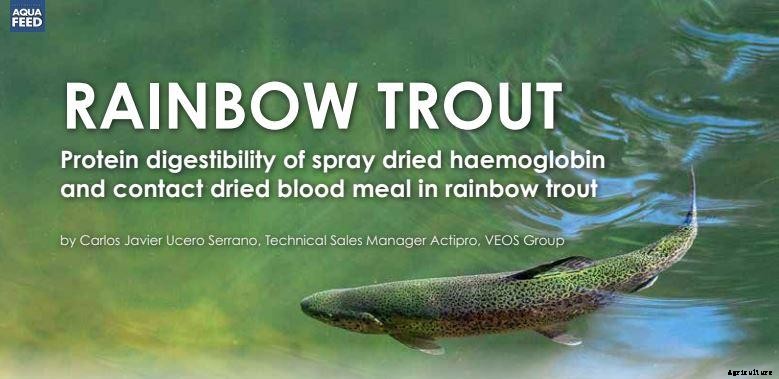 Protein digestibility of spray dried haemoglobin and contact dried blood meal in rainbow trout