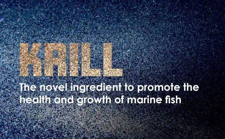 Krill The novel ingredient to promote the health and growth of marine fish