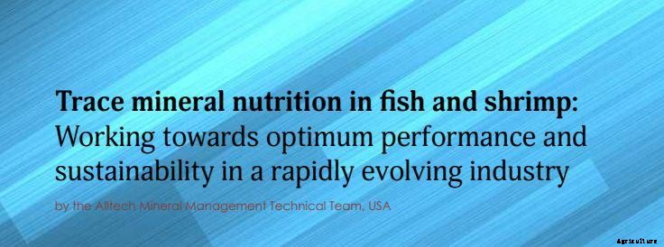 Trace mineral nutrition in fish and shrimp: Working towards optimum performance and sustainability in a rapidly evolving industry