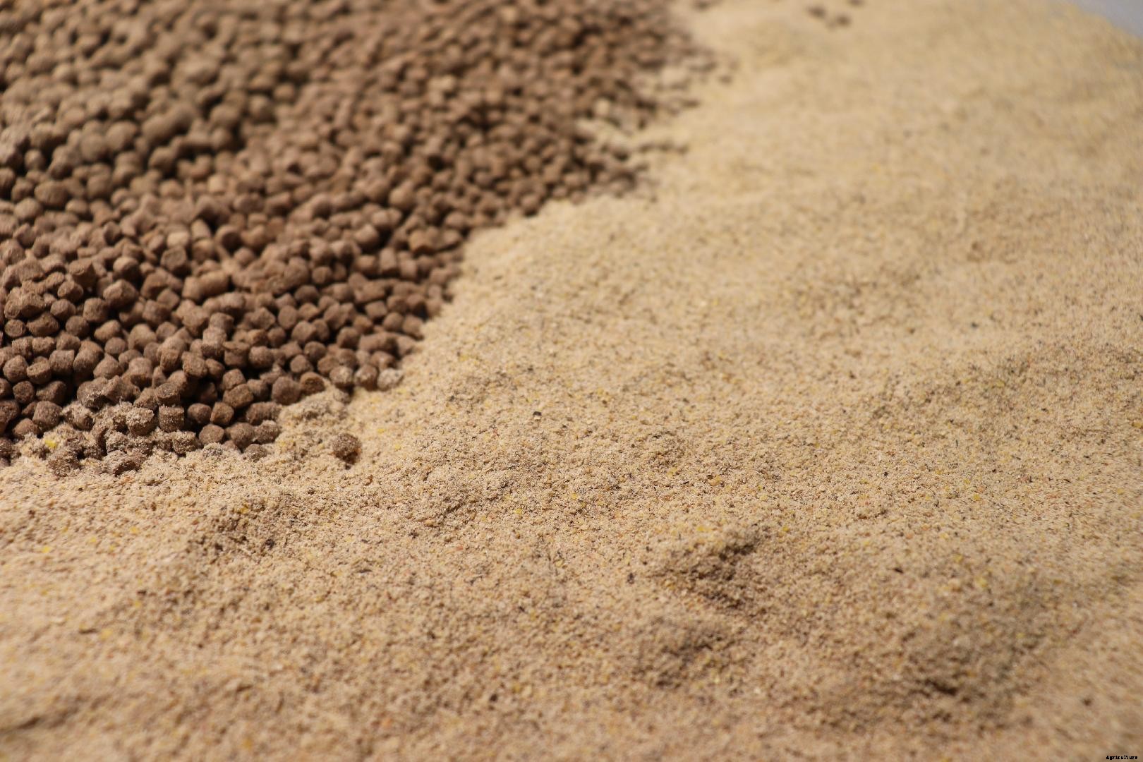 The Kahl Extruder for the production of fish feed and petfood