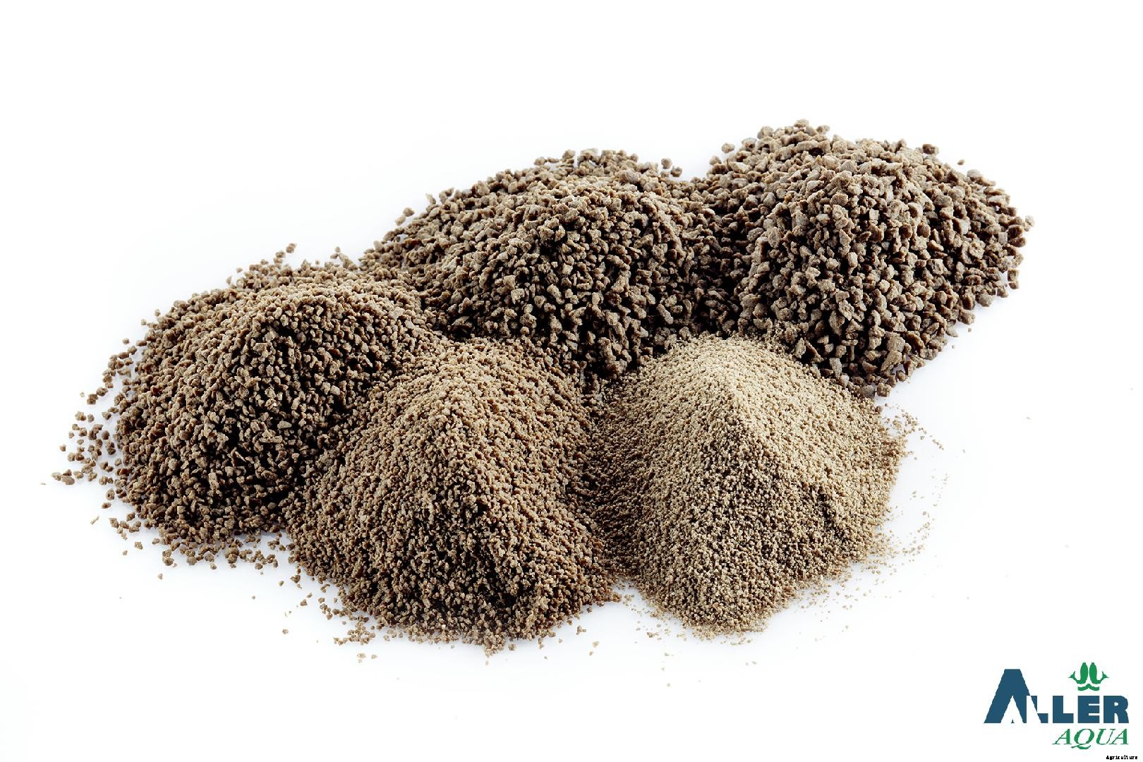 Organic fish feed: From hatch to harvest