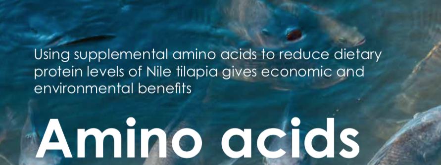Using supplemental amino acids to reduce dietary protein levels of Nile tilapia gives economic and environmental benefits