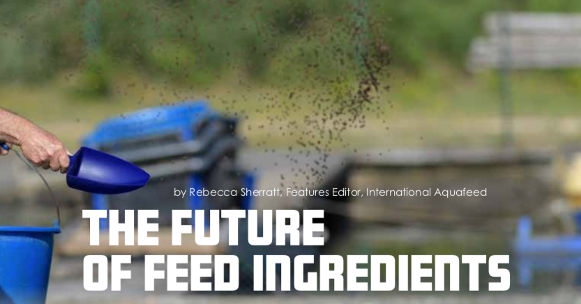 The future of feed ingredients