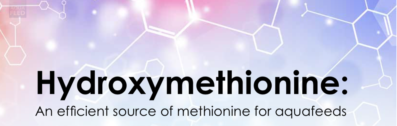 Hydroxymethionine: An efficient source of methionine for aquafeeds