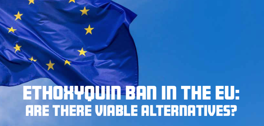 Ethoxyquin ban in the EU: Are there viable alternatives?