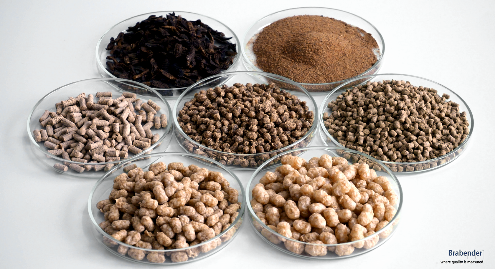 R&D applications for aquafeed extrudates: Laboratory scale testing to determine appropriateness for species and sustainability