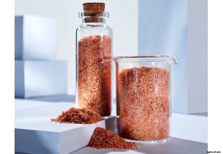 New study shows krill is the most effective growth enhancer in diets for whiteleg shrimp