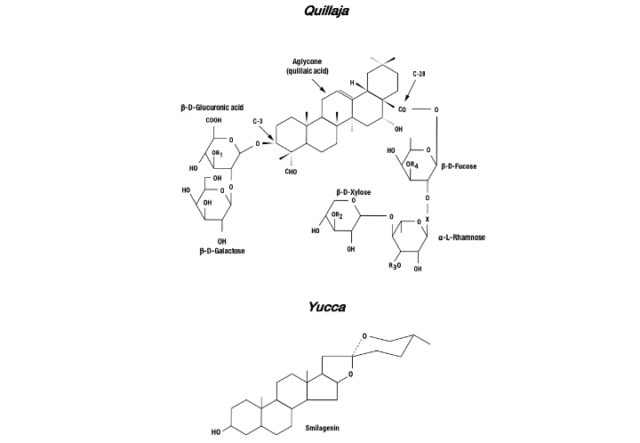 The use of saponins in aquaculture