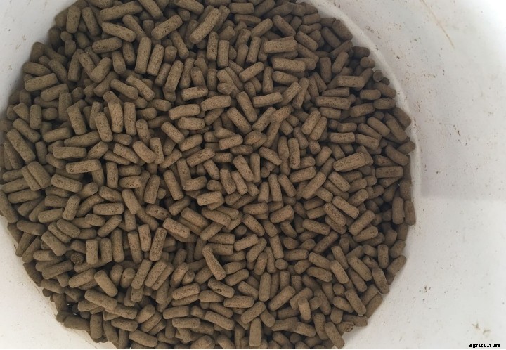 Research on nutrition requirement and feed technology of mandarin fish